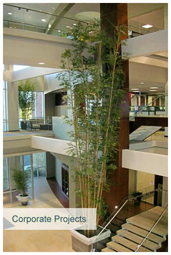 Indoor artificial plant - corporate setting 